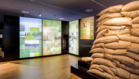 Cerdanyola, terra d'ibers