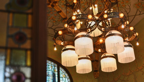 Visita al Pavelló dels Distingits  - Institut Pere Mata