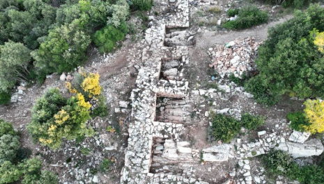 Visita guiada al jaciment iber de Puiggraciós