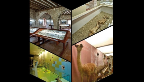 Portes obertes al Museu Darder