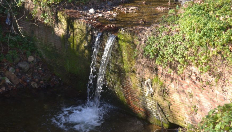 Passejada guiada pel sender de la riera de Vilamajor