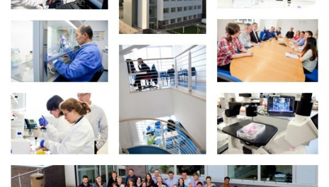 School of Medicine, University of Dundee