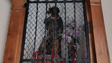 De Sant Roc a Santa Rosa. Les Capelles de la Seu d'Urgell