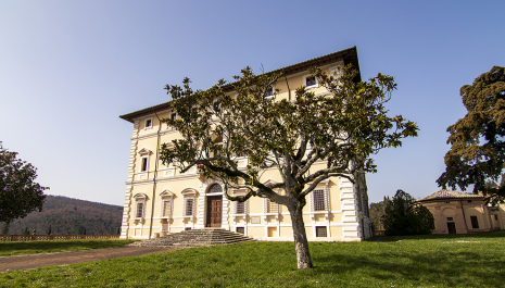 GEP 2025 - Villa del Colle del Cardinale. Apertura serale