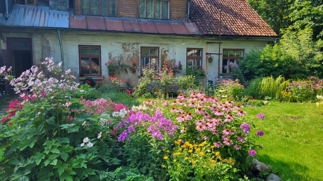 A traditional garden in Kuldīga - EHD Story, Latvia (credit, Kuldīga Restoration Centre)