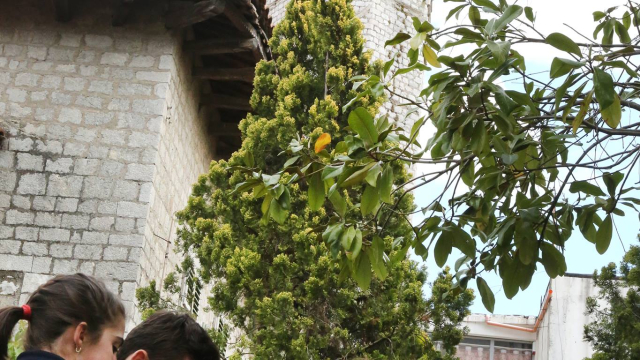 City's Untold Tales - Shkodra Edition, EHD Story, Albania - Credits: © Marubi National Museum of Photography)